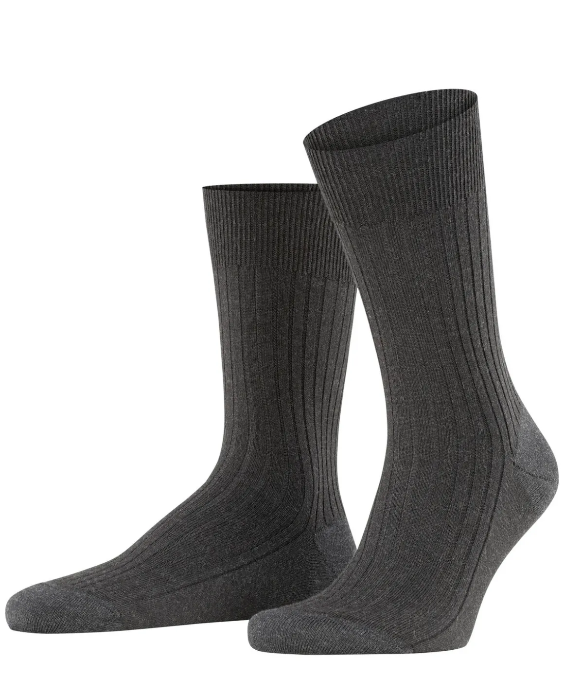 Bristol Pure Herren Socken