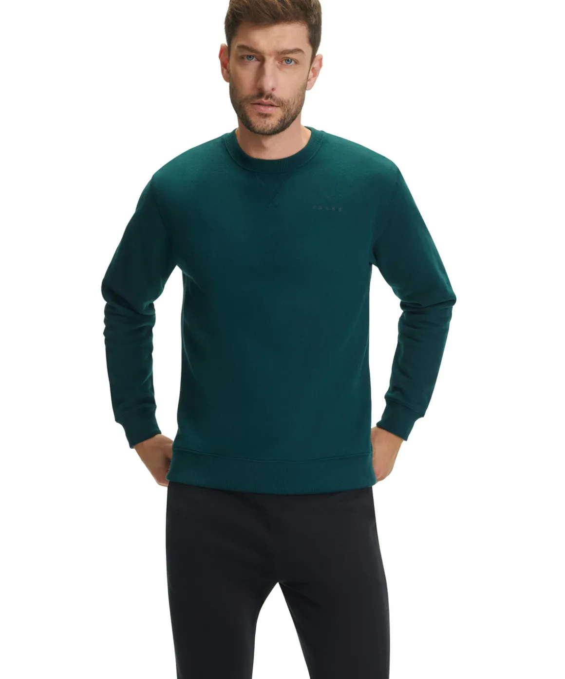 Herren Langarmshirt Rundhals